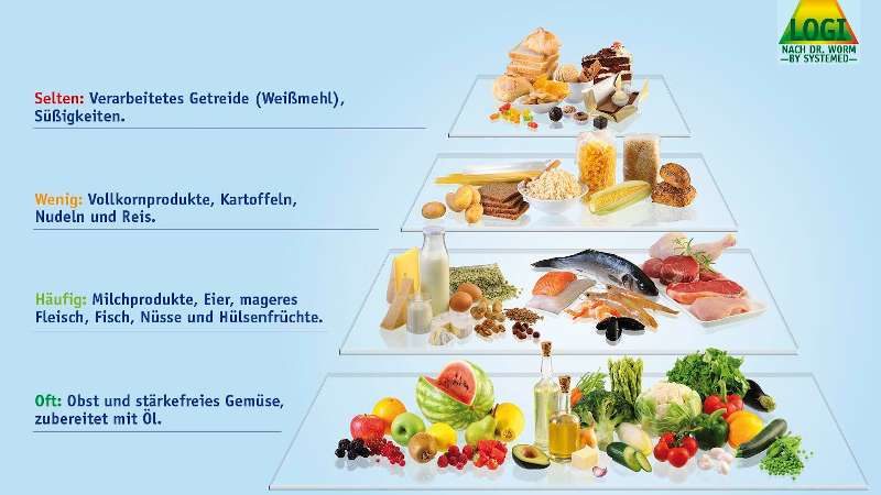 Darstellung der LOGI-Methode